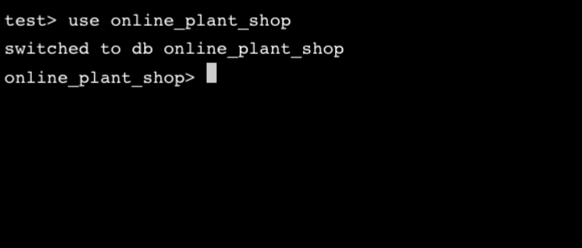 example output of use DB command